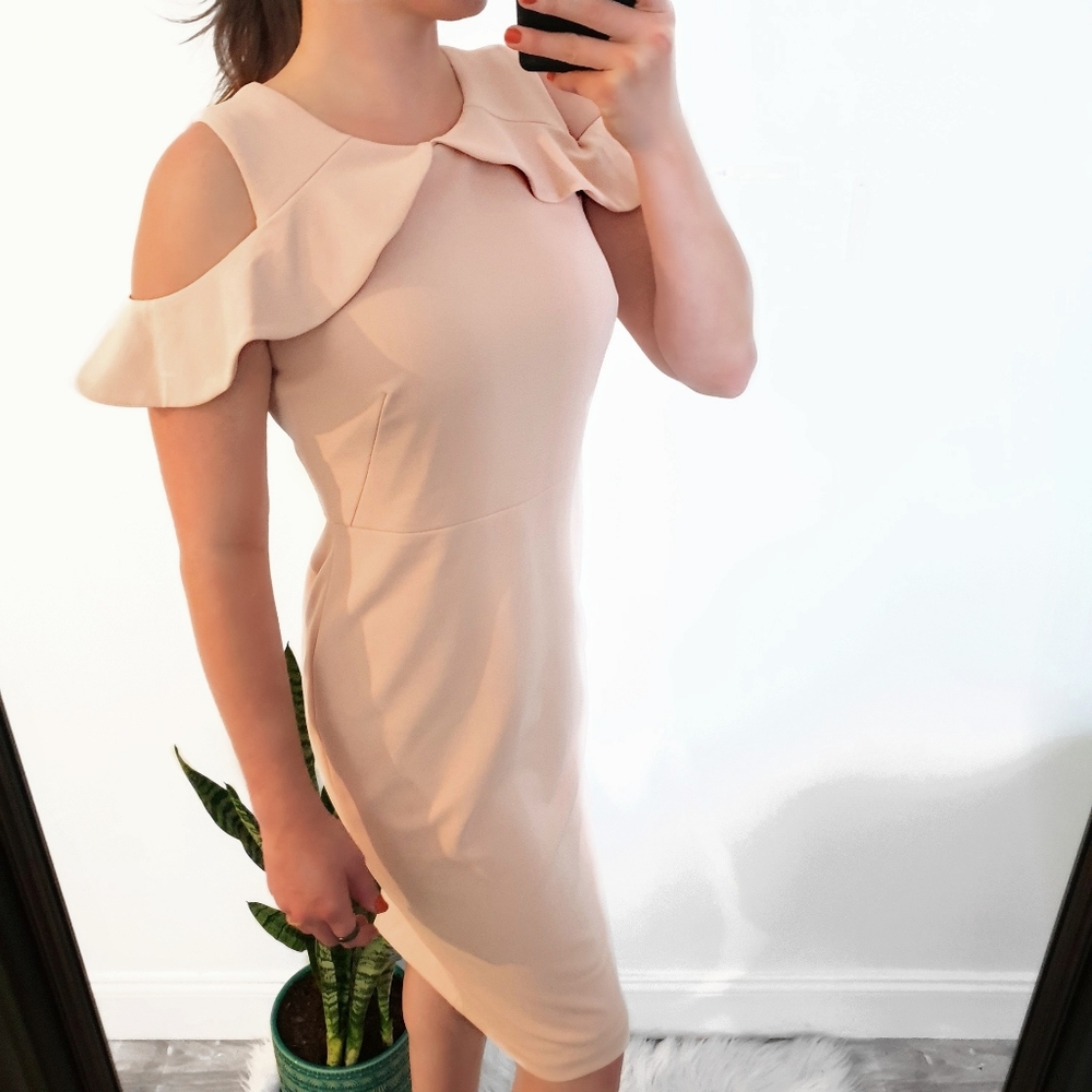 NWT Tags Calvin Klein Pink Dress